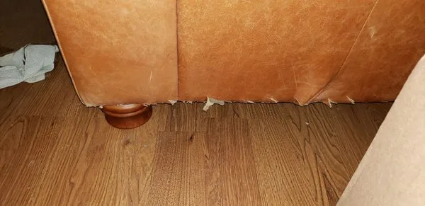 Sierra Moving And Delivery LLC photo 1
