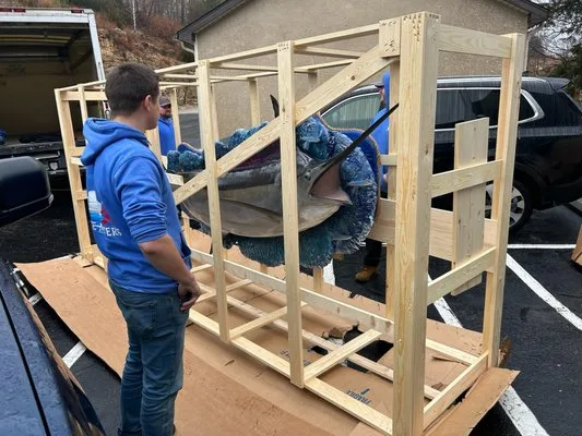 Lake Movers LLC