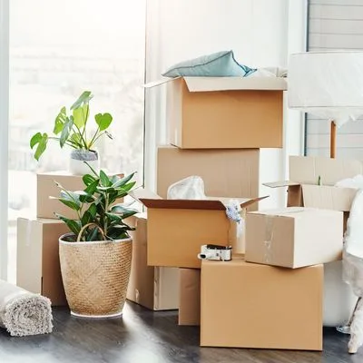 The Moving Company photo 5