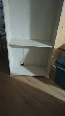 Haul Pros Moving Company LLC photo 4