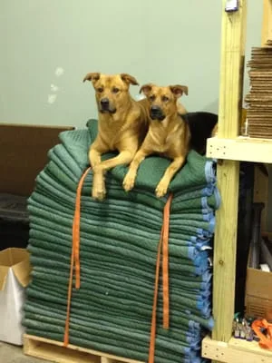 All-Star Moving LLC photo 1